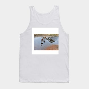 ducks in the park photograph Tank Top